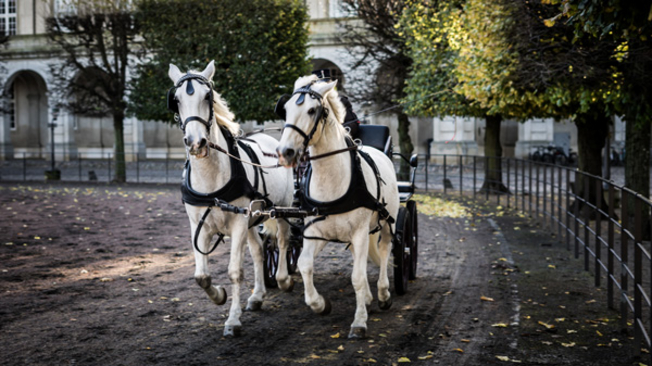 Hochzeit, Empfang und Rahmenprogramm einfach online planen und kalkulieren