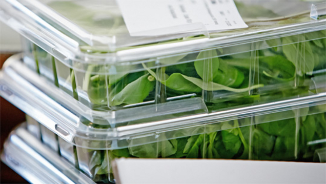 Bio Catering als Upgrade einrichten und individuelle Catering Angebote verschicken